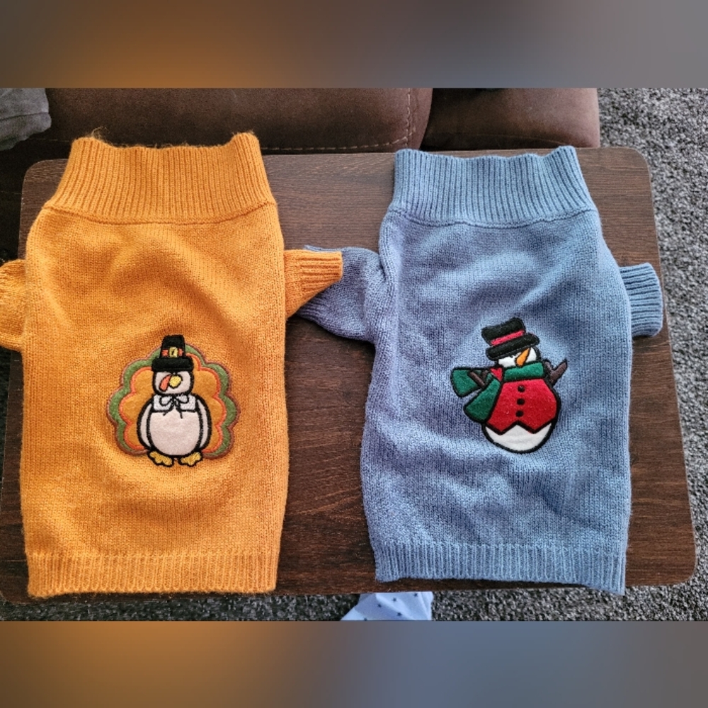 Dog holiday outfits -2
